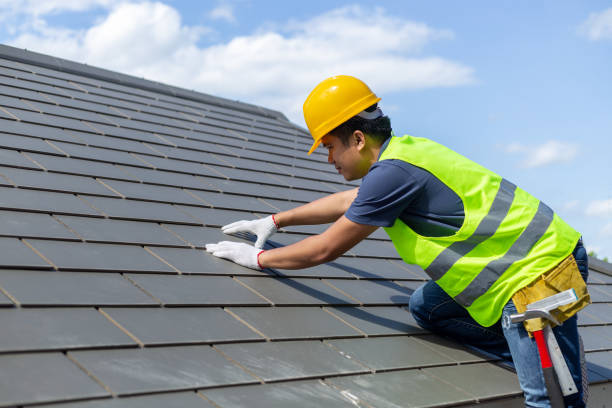 Best Roof Moss and Algae Removal  in Nice, CA
