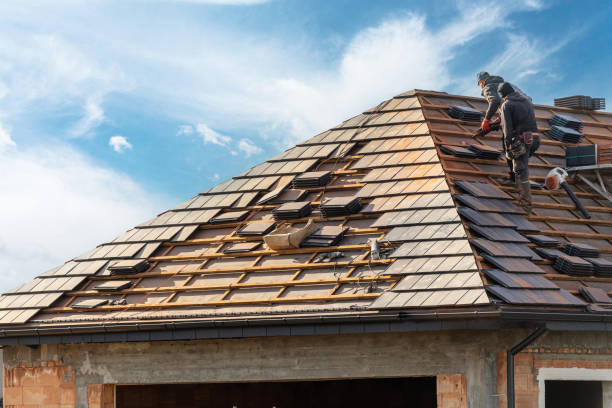 Best Skylight Installation and Repair  in Nice, CA
